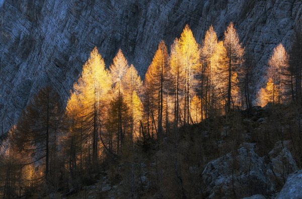 Comment choisir son vélo de route ?